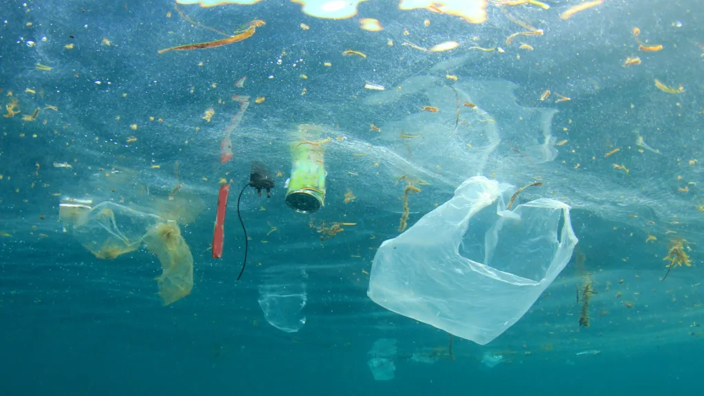 Miljøminister Magnus Heunicke deltager i FN’s Biodiversitetskonference: “Nu skal der handling bag de flotte ord”